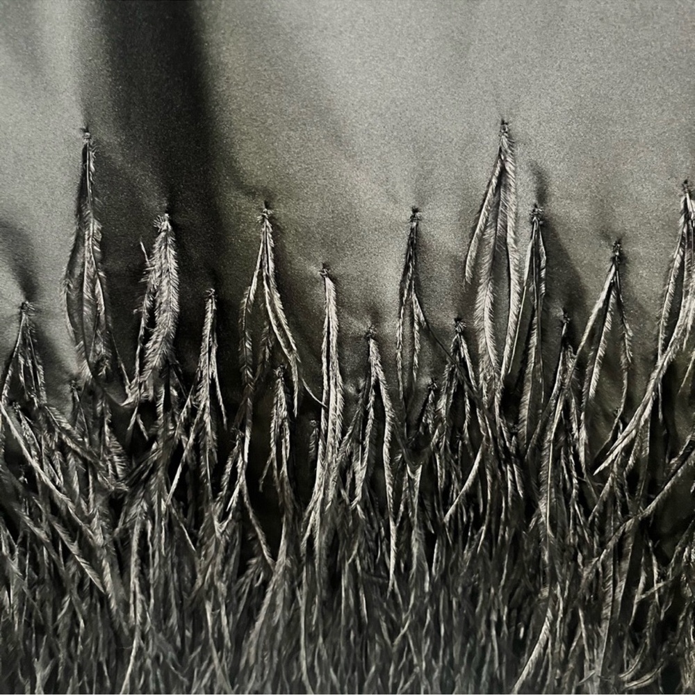 Polo by Ralph Lauren Black Cocktail Dress Sz 4- Ostrich Feather - Picture 7 of 9